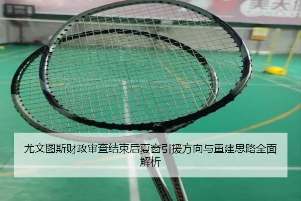 尤文图斯财政审查结束后夏窗引援方向与重建思路全面解析